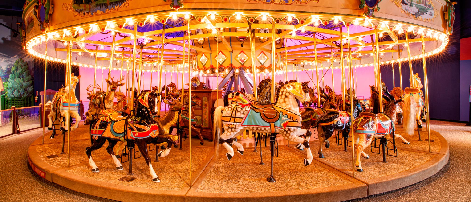 img of Carousel 1